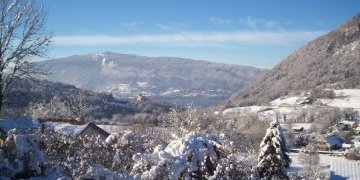 Bluffy Hiver