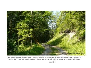 1.2_printemps-ete_michel_c_2_.jpg - JPEG - 129.7 ko - 960×720 px
