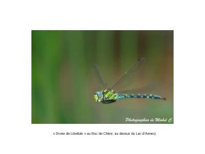 1.2_printemps-ete_michel_c_8_.jpg - JPEG - 28.1 ko - 960×720 px