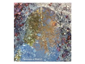 couleurs_et_lumiere_d_automne_michel_c_19_copier_.jpg - JPEG - 157.8 ko - 800×600 px