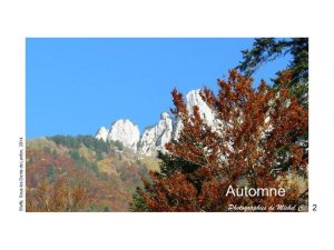 1.Couleurs et lumière d'automne par Michel C. - JPEG - 113.7 ko - 800×600 px