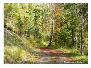 couleurs_et_lumiere_d_automne_michel_c_4_copier_.jpg - JPEG - 211 ko - 800×600 px