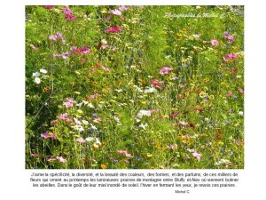 saisons_entre_lac_et_montagnes_michel_c_20_.jpg - JPEG - 186.3 ko - 960×720 px