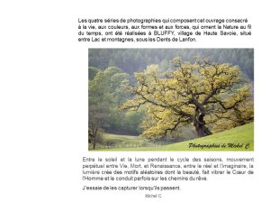 saisons_entre_lac_et_montagnes_michel_c_2_.jpg - JPEG - 97.3 ko - 960×720 px