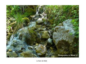 saisons_entre_lac_et_montagnes_michel_c_4_.jpg - JPEG - 132.6 ko - 960×720 px