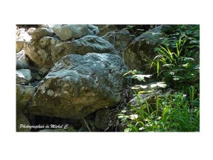 saisons_entre_lac_et_montagnes_michel_c_5_.jpg - JPEG - 105.3 ko - 960×720 px